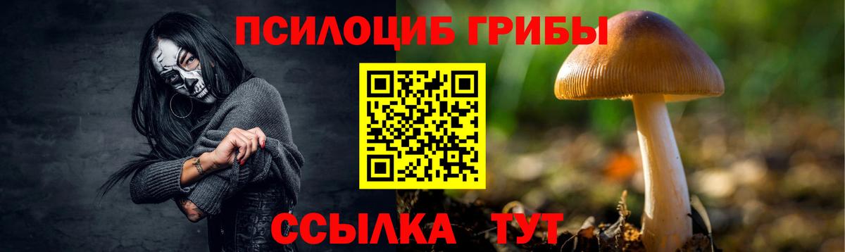 Сокол  Галлюциногенные грибы Cubensis  Галлюциногенные грибы GOLDEN TEACHER  Вход с VPN 